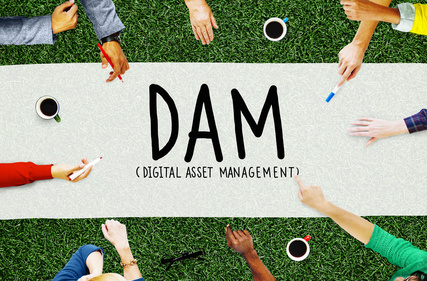 Discover Digital Asset Management